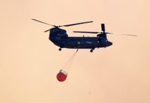 Φωτιά στην Εύβοια: Καίγεται δάσος στα Μεσοχώρια – Σηκώθηκαν 2 ελικόπτερα