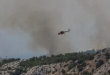 Τρίκαλα: Φωτιά σε δασική έκταση – Έχει σηκωθεί και ελικόπτερο