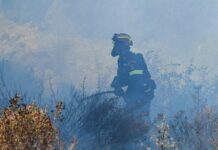 Γρεβενά: Ισχυρές επίγειες και εναέριες δυνάμεις για τη φωτιά στις παρυφές της Βάλια Κάλντα