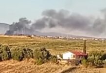Χαλκιδική: Έσβησε η φωτιά στη Νέα Τρίγλια