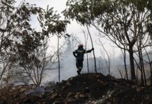 Καλύτερη εικόνα από το πύρινο μέτωπο στον Χορτιάτη – Υπό έλεγχο η φωτιά στην Ορμύλια