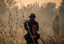 Χαλκιδική: Οριοθετήθηκε η φωτιά στη Λαγόμανδρα