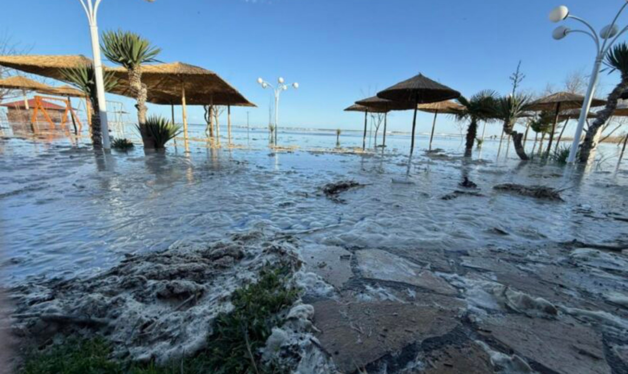 IMG_20260216_131224_(2013_x_1200_πίξελ)