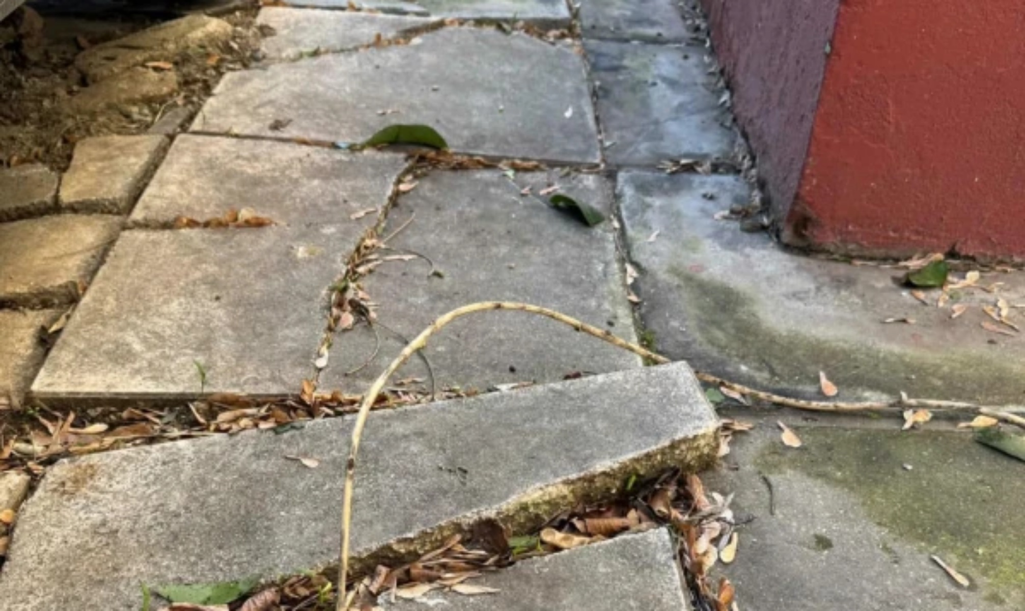 IMG_20260225_131725_(2013_x_1200_πίξελ)