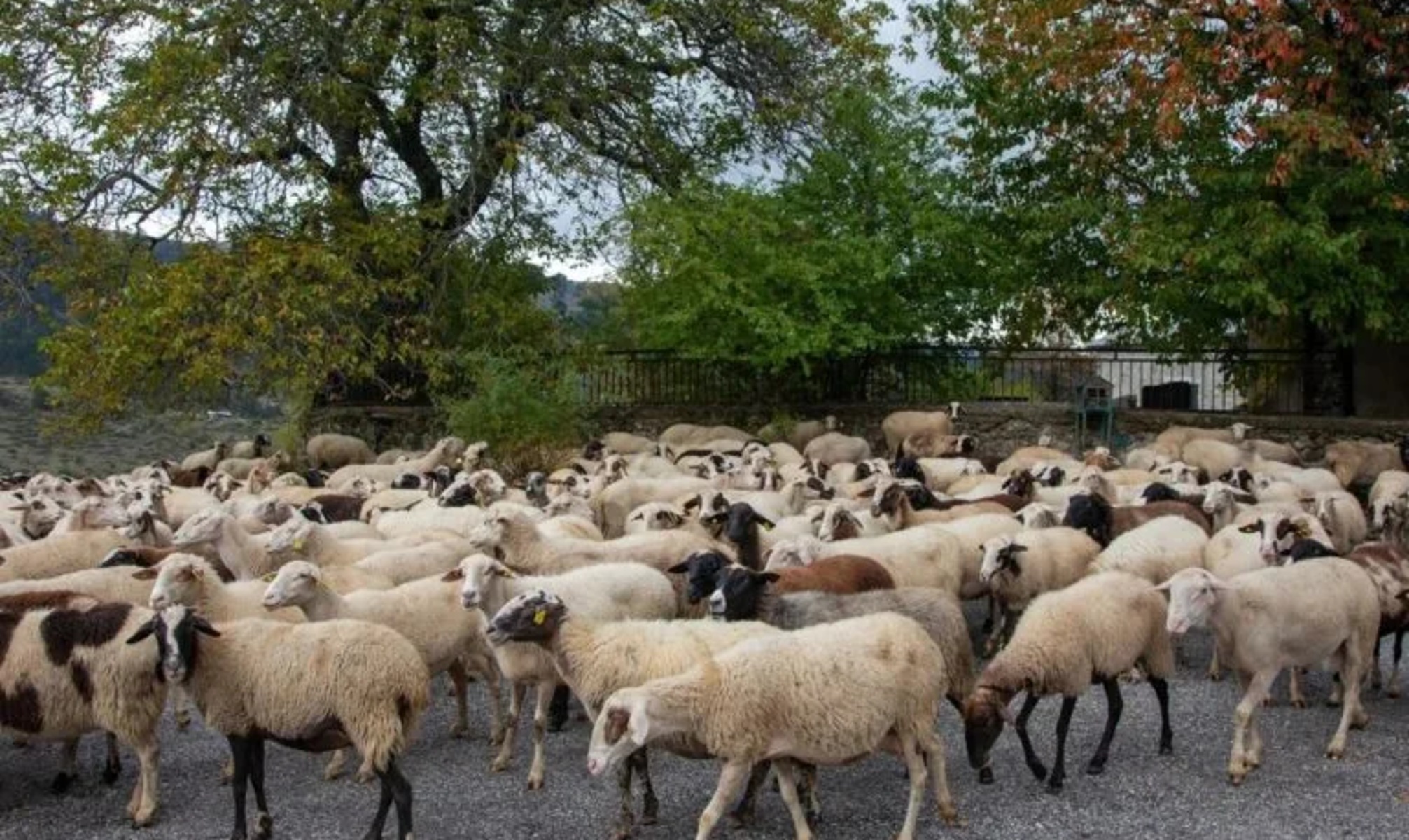 IMG_20260319_140224_(2013_x_1200_πίξελ)