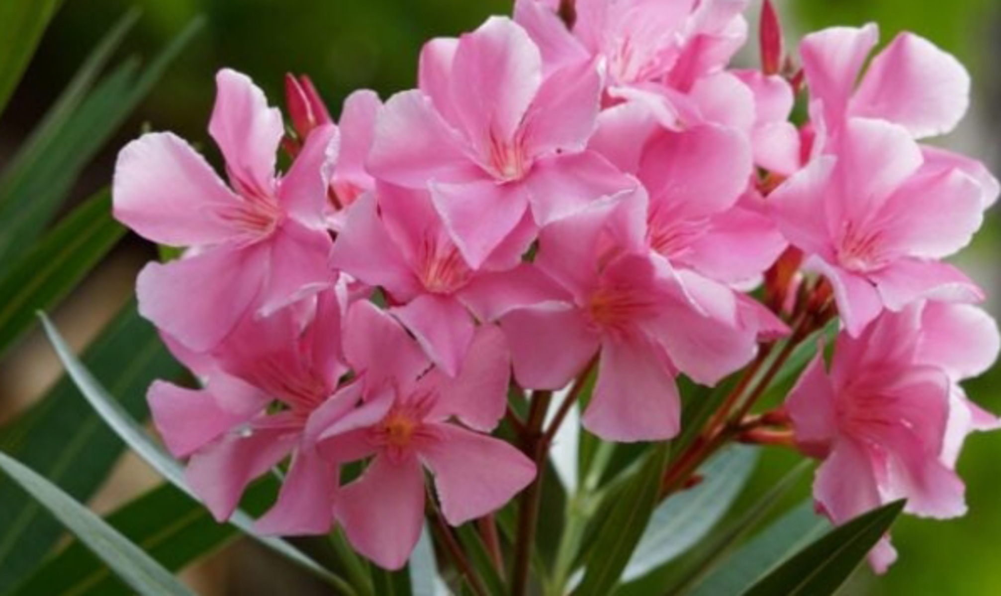 IMG_20260415_134606_(2013_x_1200_πίξελ)