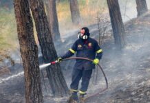 Θεσσαλονίκη: Δύο νεκροί από την πυρκαγιά στη Λητή – Χωρίς ενεργό μέτωπο η φωτιά