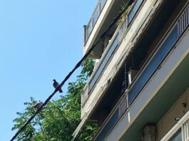 Θεσσαλονίκη: Νέα επιχείρηση της Αντιτρομοκρατικής σε οικοδομή μόλις 600 μέτρα από εκείνη της οικογένειας Νέστορα