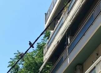 Θεσσαλονίκη: Νέα επιχείρηση της Αντιτρομοκρατικής σε οικοδομή μόλις 600 μέτρα από εκείνη της οικογένειας Νέστορα