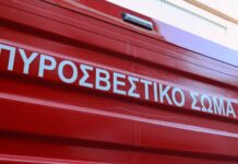 Θεσσαλονίκη: Έσβησε η πυρκαγιά στο Φράγμα της Θέρμης