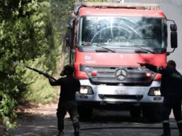 Καμπανάκι από την Πυροσβεστική για αυξημένο κίνδυνο πυρκαγιών