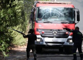Καμπανάκι από την Πυροσβεστική για αυξημένο κίνδυνο πυρκαγιών