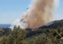 Χωρίς ενεργό μέτωπο η φωτιά στο Πλωμάρι Λέσβου, μάχη με τις αναζωπυρώσεις