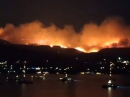 Φωτιά στην Πάρο: Νύχτα κόλαση από τις αναζωπυρώσεις κοντά σε σπίτια – Νέα μηνύματα του 112 για εκκένωση 5 περιοχών