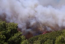 Μαίνονται τα πύρινα μέτωπα σε Βοιωτία, Πόρτο Γερμενό και Αίγιο – Συνεχείς εκκενώσεις