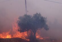 Πλησιάζει τα Μέγαρα το πύρινο μέτωπο, μπαράζ 112 για εκκενώσεις οικισμών – Μαίνεται η φωτιά στην Κεφαλονιά