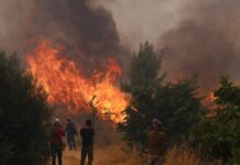 Φωτιά σε Αττική και Βοιωτία: Βραχυκύκλωμα “δείχνει” το πόρισμα – Οι κακοτεχνίες στο δίκτυο και το περιστατικό του Ιουνίου