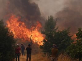 Φωτιά σε Αττική και Βοιωτία: Βραχυκύκλωμα “δείχνει” το πόρισμα – Οι κακοτεχνίες στο δίκτυο και το περιστατικό του Ιουνίου