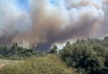 Φωτιά στη Χαλκιδική: Εκκενώνεται η Σίβηρη – Ενισχύθηκαν οι πυροσβεστικές δυνάμεις