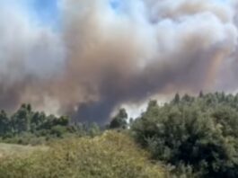 Φωτιά στη Χαλκιδική: Εκκενώνεται η Σίβηρη – Ενισχύθηκαν οι πυροσβεστικές δυνάμεις
