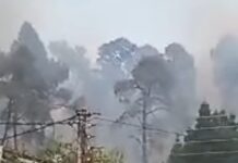 Η Χαλκιδική στις φλόγες: Όταν οι μνήμες του 2006 γίνονται ξανά στάχτη