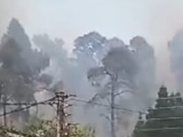 Η Χαλκιδική στις φλόγες: Όταν οι μνήμες του 2006 γίνονται ξανά στάχτη