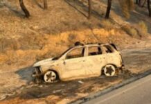 Φωτιά στη Χαλκιδική: Κάηκαν 3.500 στρέμματα