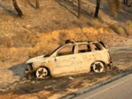 Φωτιά στη Χαλκιδική: Κάηκαν 3.500 στρέμματα