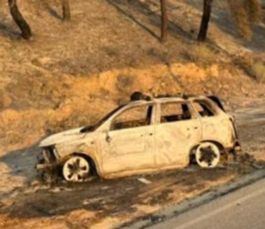 Φωτιά στη Χαλκιδική: Κάηκαν 3.500 στρέμματα