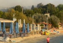 Χαλκιδική: Ξεκίνησε η υποβολή αιτήσεων κρατικής αρωγής σε επιχειρήσεις που επλήγησαν από την πυρκαγιά στη Σίβηρη