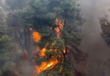 Υψηλός κίνδυνος πυρκαγιάς σήμερα σε Θεσσαλονίκη, Χαλκιδική, Άγιο Όρος και Κιλκίς