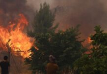 Απαγόρευση κυκλοφορίας σήμερα σε περιοχές της Χαλκιδικής λόγω πολύ υψηλού κινδύνου εκδήλωσης δασικής πυρκαγιάς