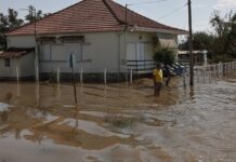 Thessaly Evros Pass 2026: Άνοιξε η πλατφόρμα για αιτήσεις